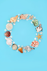 Image showing Sea Shell Natural Summer Wreath 