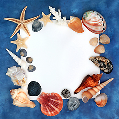 Image showing Decorative Seashell Background Frame on Blue