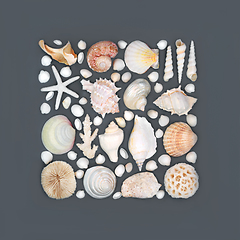 Image showing Tropical Seashell Collection Abstract Design