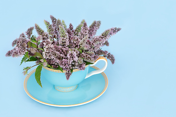 Image showing Peppermint Flower Leaf Tea to Relieve Stress and Anxiety  