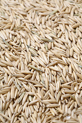 Image showing Oats