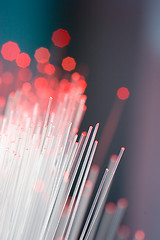 Image showing Optical fibers