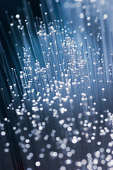 Image showing Optical Fibers