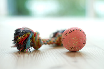 Image showing Closeup of chew toys, ball and rope with knot, puppy accessory toy on wood floor with pet care and objects. Color cotton object for games with dog, petshop product and entertainment for domestic pets