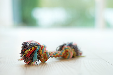 Image showing Closeup of chew toy, colorful rope with knot and puppy accessory on wood floor with pet care and object. Color cotton plaything for games with dog, petshop product and entertainment for domestic pets