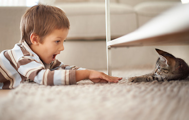 Image showing Excited, playful and a boy with a cat on the floor for playing, meeting and bonding at home. Smile, bedroom and a child looking shocked at a kitten for a game, happiness and petting on the carpet