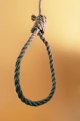 Image showing Noose