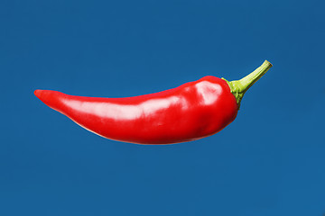 Image showing Pepper