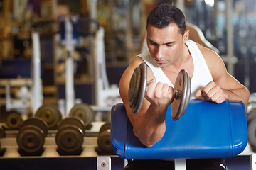 Image showing Arm, gym motivation and fitness man doing dumbbell exercise, sports workout or bodybuilding for muscle gain. Club membership, focus mindset and strong male person with bicep weightlifting weights