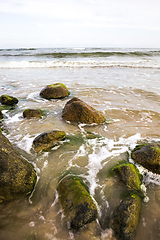 Image showing sandy beach sea