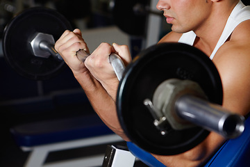 Image showing Bench curling hands, barbell and man with iron, metal or steel gym equipment for muscle strength, power building or development. Weightlifting, determined focus and male athlete doing fitness circuit