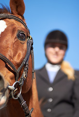 Image showing Horse, woman and closeup for horseriding ready to start sport, competition and training with rider. Outdoor, sun and woman with helmet riding horses in a show with female equestrian and animals