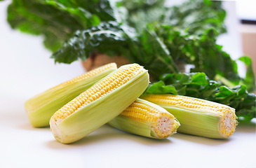 Image showing Corn on cob, healthy food and vegetable in studio with color, art and creativity for nutritionist. Cooking, wellness diet and nutrition with clean, green or vegan meal isolated on a white background