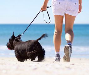 Image showing Travel, summer and beach with woman and dog for walking, vacation trip and animal care. Health, energy and holiday with female and small pet on leash for break, training and peace by seaside