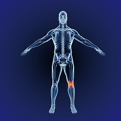 Image showing Body, knee pain and skeleton of bones on x ray scan on digital screen. Research of bone and hologram of a person with an internal injury, xray results or feedback of patient exam or operation