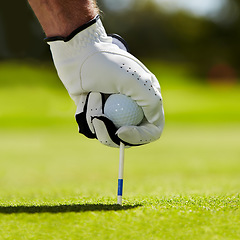 Image showing Ball, tee and hands of man on golf course for contest, competition challenge and target training. Closeup, grass lawn and golfer gloves with pin in ground for action, games and sports gear on field