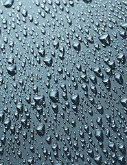 Image showing Droplets