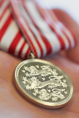 Image showing Closeup, hands and war medal for hero, service and appreciation symbol or power gesture. Defence, award and person with gold military reward for honor, respect and Danish, army and airforce icon