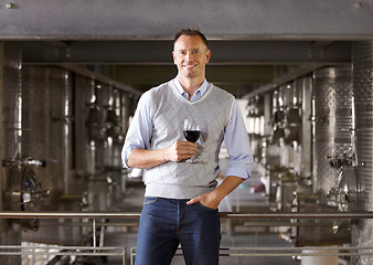 Image showing Portrait, cellar and mature man with red wine, smile and success with wellness, development and elegant. Face, male person and happy entrepreneur with a glass, alcohol and aroma with business owner