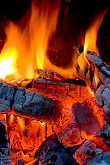 Image showing Hot coals