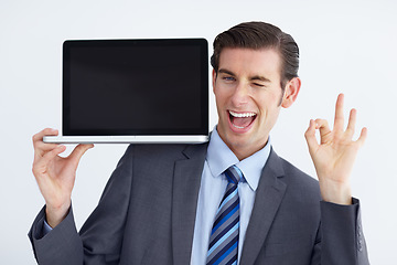 Image showing Youd be doing yourself a favor by getting this. Laptop, wink and perfect sign by man portrait with mockup or space for advertising on white background.