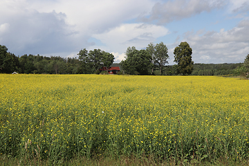 Image showing Åker