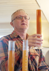 Image showing Beer, production and quality control with a man brewing a batch of alcohol while testing the flavor or taste. Manufacturing, brewery and beverage with a male worker in a distillery to produce drinks