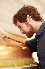 Image showing Beer, brewery and production with man in factory for manufacturing, alcohol and quality control. Boiler, fermentation and inspection with male employee at distillery for expert, storage and industry