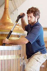 Image showing Beer, factory and man manufacturing alcohol drink in the brewery industry or working on the fermentation process. Product, labour and young person making a craft in a storage or warehouse