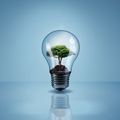 Image showing Environment, tree in light bulb and save energy, eco friendly and sustainability with renewable resources on blue background. Sustainable development, innovation and electricity with mockup space