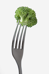 Image showing Broccoli
