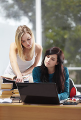 Image showing Team, brainstorming and business women on laptop in office for planning, teamwork and strategy. Coaching, mentor and female colleagues online for feedback, review or advice for solution or proposal