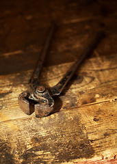 Image showing Old Pincers