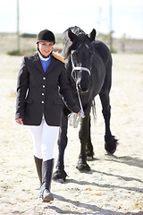 Image showing Walking, sports and portrait of woman and horse for equestrian, competition and celebration. Happy, smile and animal show with female jockey and stallion for achievement performance and training