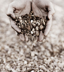 Image showing Earth, ground and hands holding gravel closeup outdoor in nature for adventure or to explore in monochrome. Stones, fingers and scoop with a person lifting dirt outside in a natural environment