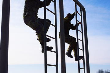 Image showing Soldier in training, military men and climbing a ladder in obstacle course for fitness and endurance. Army team in camouflage uniform outdoor, train for war and exercise with mission and action