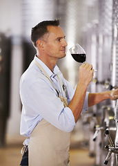 Image showing Wine, manufacturing and aroma with a man smelling a glass in a distillery for production or fermentation. Industry, steel and equipment in a plant, factory or warehouse with a male alcohol maker