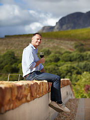 Image showing Portrait, mature man with red wine and in vineyard or farm sitting on wall. Agriculture, beverages or drinks with glass and happy male sommelier or farmer with champagne or alcohol outdoors