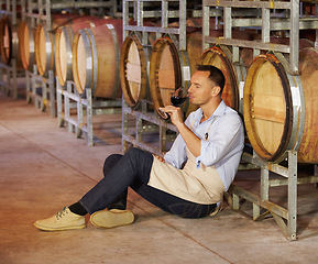 Image showing Cellar, mature man wine tasting and sitting by a barrel in a warehouse. Wood cask storage, aging drink and a male sommelier holding or drinking a glass of alcohol or red blend in a factory working