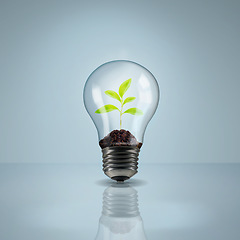 Image showing Environment, plant in lightbulb and saving energy, eco friendly and ecology, renewable resources on studio background. Sustainable development, innovation and electricity with mockup and conservation