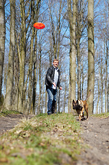 Image showing Man, dog and outdoor with flying disc for game, learning and running in woods for health, exercise or freedom. Pet animal, plastic plate and workout for body, care and adventure with games in forest
