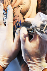 Image showing Hands, arm and tattoo gun of artist with blue color ink for permanent bird illustration or precision tool. Closeup of graphic designer applying detail to arms for body art, coloring or drawing