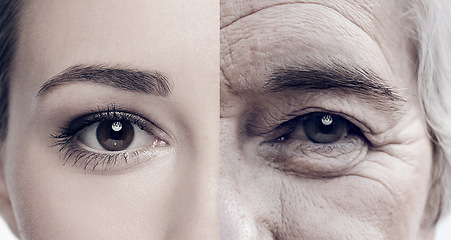 Image showing Portrait, half and women faces in studio for skincare, wrinkles and anti aging care. Face, eyes and different closeup by women posing with youth, fine lines and cosmetic results for skin change