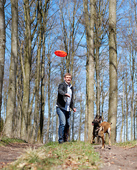 Image showing Man, dog and park with flying disc for game, learning and running in forrest for health, exercise or freedom. Pet animal, plastic plate and workout for body, care and adventure with puppy in woods