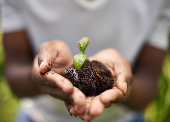 Image showing Hands, sustainability and soil growth in nature for nature, environment development and dirt. Plant, growing and sustainable eco friendly work of a person with care, community for climate change