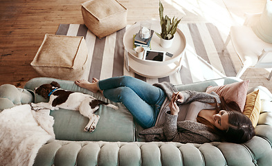 Image showing Above, relax and a woman with a phone on the sofa for social media and communication with a dog. Happy, connectivity and a girl on the couch with a mobile app for conversation and chat with a pet