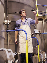 Image showing Man, wine manufacturing at distillery and alcohol making process with inspection of drink in glass and winery. Young male winemaker, fermentation of alcoholic beverage and person check product