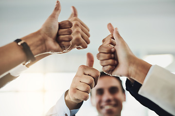 Image showing Business people, hands and thumbs up for winning, success or teamwork achievement at office. Hand of employee group showing thumb emoji, yes sign or like in team win, victory or good job at workplace