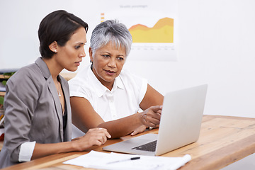 Image showing Focus, teamwork and business women on computer in digital analytics, data analysis or review online report. Professional people reading results on laptop for seo planning, solution or problem solving