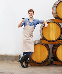 Image showing Portrait, wine and oak barrels with a man holding a glass in a winery or distillery as an artisan and sommelier. Drink, red blend and alcohol with a male beverage maker in a factory or warehouse